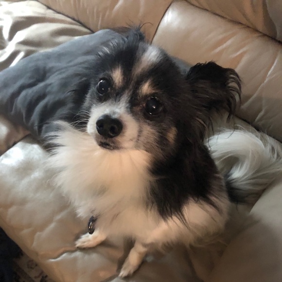 Meet your Posher, Katie - Picture 1 of 1